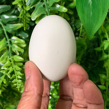 Load image into Gallery viewer, Farm Fresh Eggs